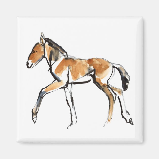 Colt Magnet (Framsidan)