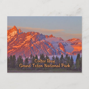 Colter Bay Grand Teton nationalpark Vykort
