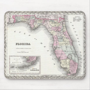 Colton karta 1855 av Florida Musmatta