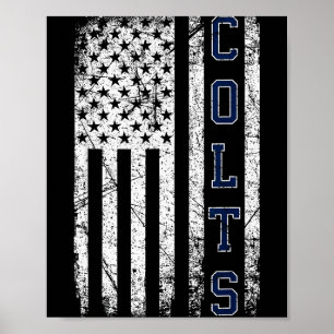 Colts Namn Vintage Retro Present Män Kvinnor Pojke Poster