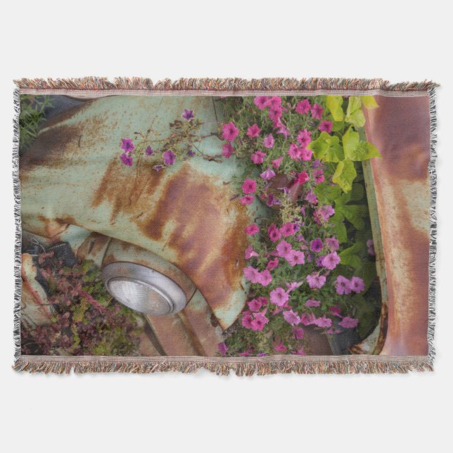 Columbia Falls Mysfilt (Framsidan)