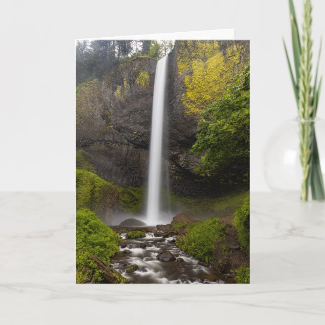 Columbia River Gorge Latourell Falls Greeting Card Tack Kort (Framsida)