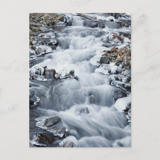 Columbia River Gorge National Scenia Area Vykort (Framsida)