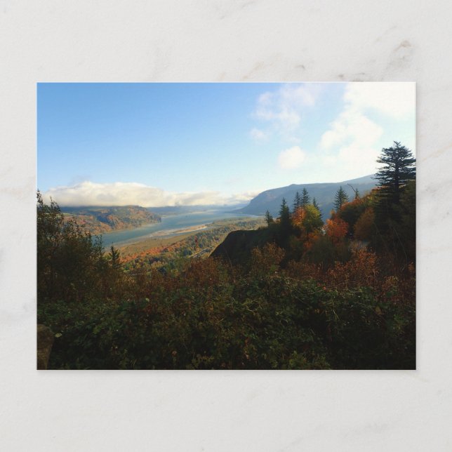 Columbia River Gorge på hösten Vykort (Framsida)