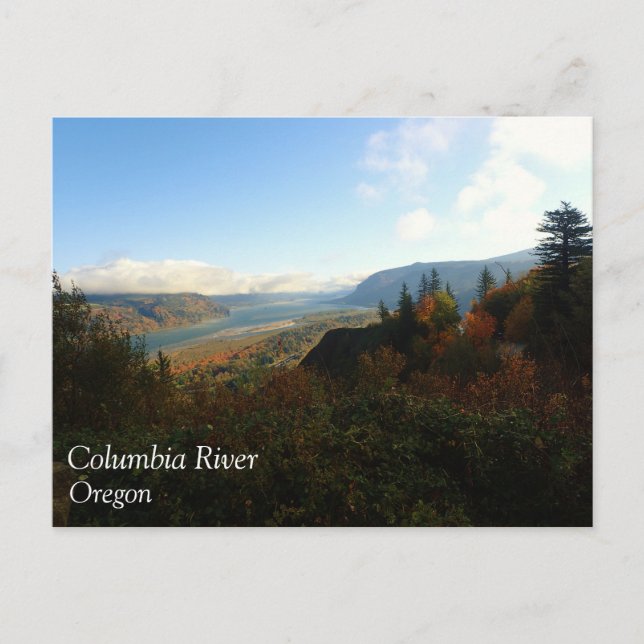 Columbia River Gorge på hösten Vykort (Framsida)