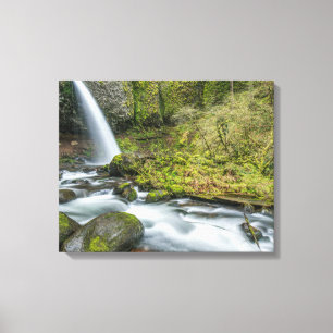 Columbia River Gorge, Ponytail Falls Canvastryck