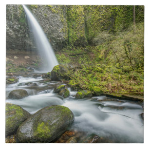 Columbia River Gorge, Ponytail Falls Kakelplatta