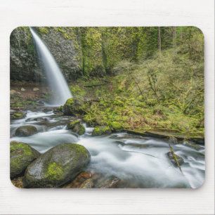 Columbia River Gorge, Ponytail Falls Musmatta