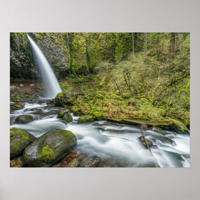 Columbia River Gorge, Ponytail Falls Poster (Framsidan)