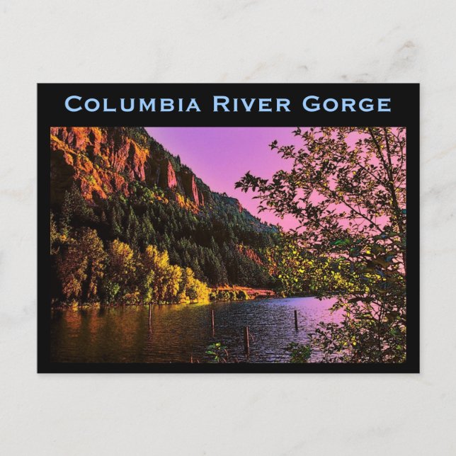 Columbia River Gorge Postcard Vykort (Framsida)