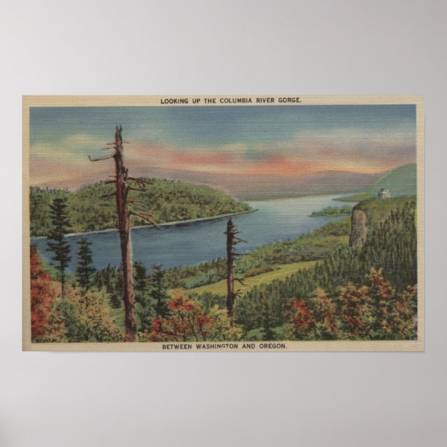 Columbia River Gorge Poster (Framsidan)