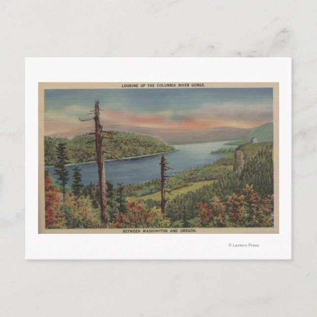 Columbia River Gorge Vykort (Framsida)