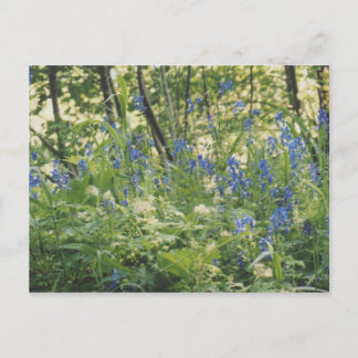 Columbia River klyfta Vykort