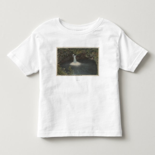 Columbia River Oregon - bålskål Tee Shirt (Framsida)