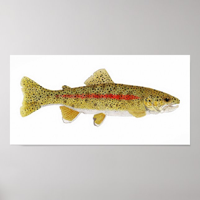 Columbia River Redband Trout Art Skriv ut Poster (Framsidan)