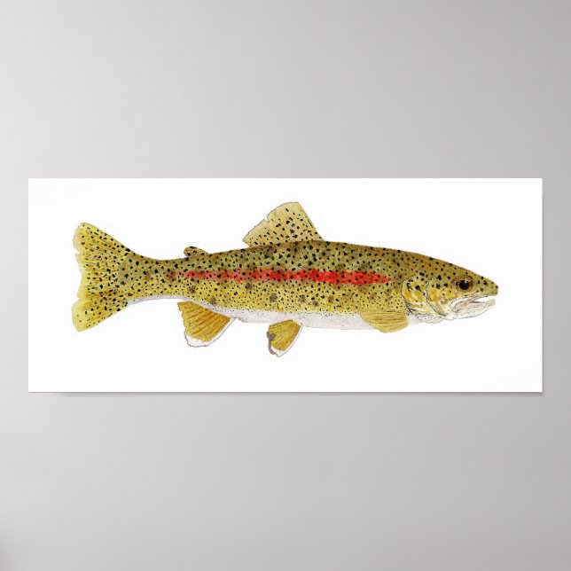 Columbia River Redband Trout Poster (Framsidan)