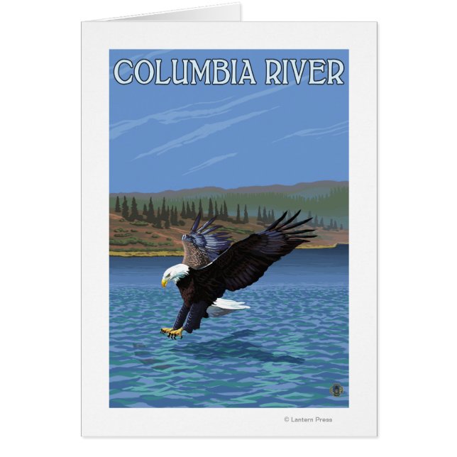 Columbia River, WashingtonEagle Diving Hälsningskort (Framsidan)