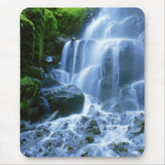 Columbia River Waterfall Bra Photo Musmatta