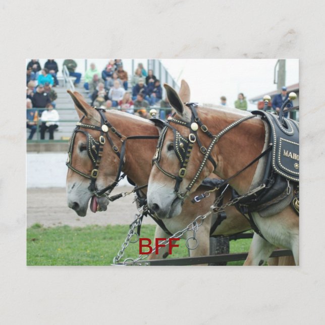 columbia tn vykort (Framsida)