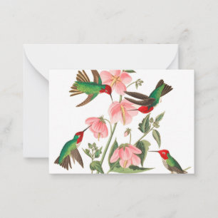 Columbian Humming av John James Audubon Anteckningskort