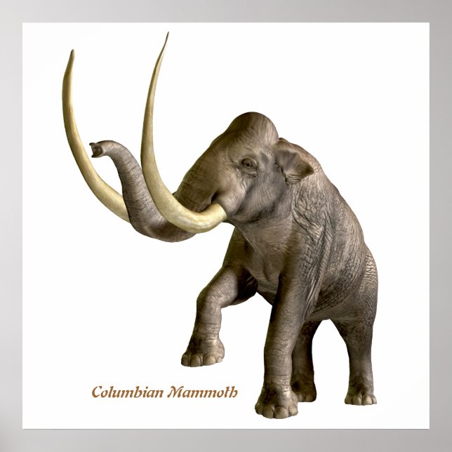 Columbian Mammoth Skriv ut Poster (Framsidan)