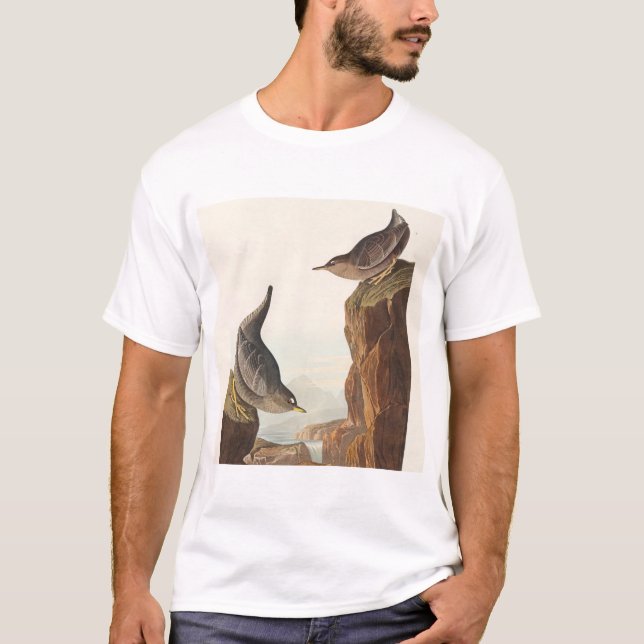 Columbian Water Ouzel and Arctic Water Ouzel T Shirt (Framsida)