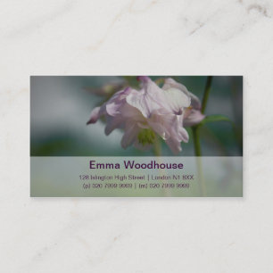 Columbine   Akelei Visitkort