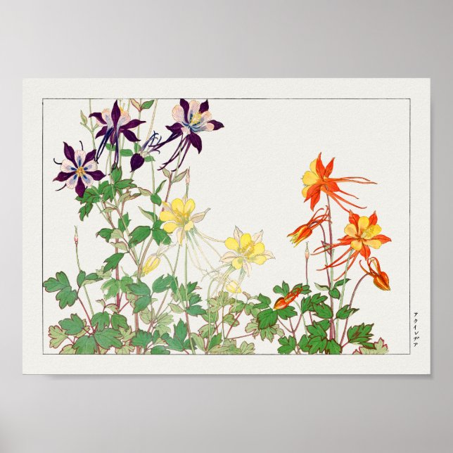 Columbine av Tanigami Konan Poster (Framsidan)