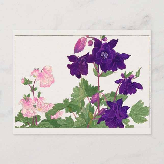 Columbine av Tanigami Konan Vykort (Framsida)
