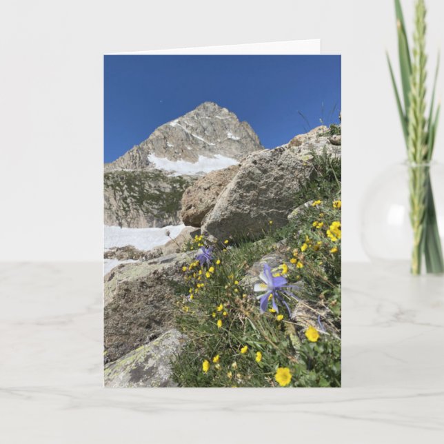 Columbine Beneath Paiute Peak Card Kort (Framsida)