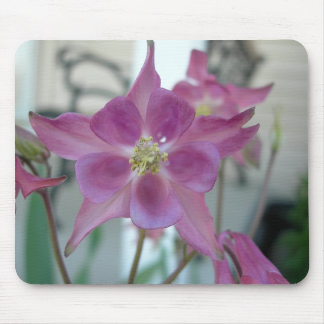 Columbine blommamousepad musmatta (Framsidan)