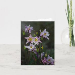 Columbine blommor noterar kortet kort