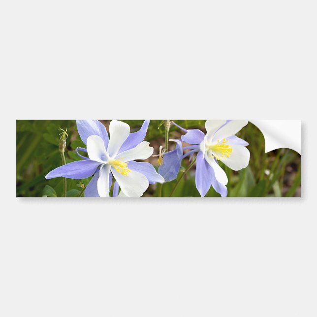 Columbine Family Bildekal (Framsidan)