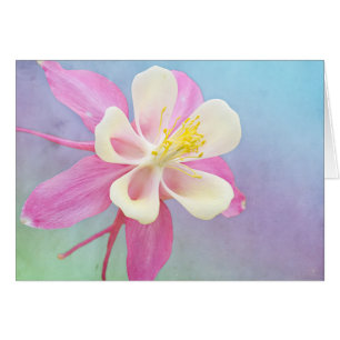 Columbine Flower Rosa & White Anpassningsbar Card Hälsningskort