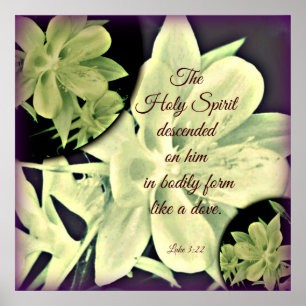 Columbine Heliga Spirit Poster