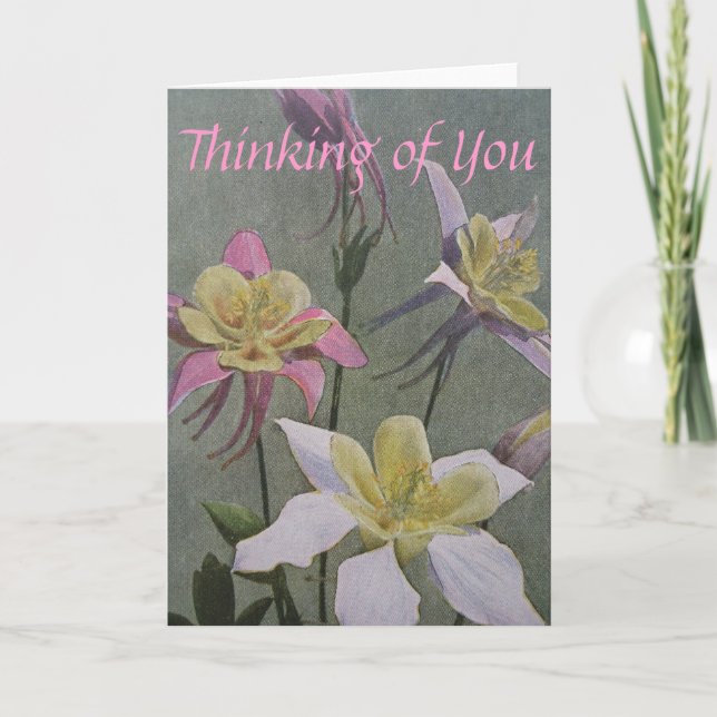 Columbine Kort (Framsida)