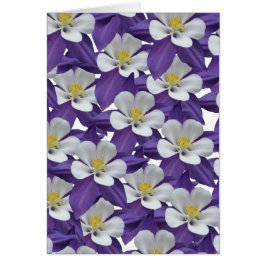 Columbine Lila och White Flower Card Hälsningskort