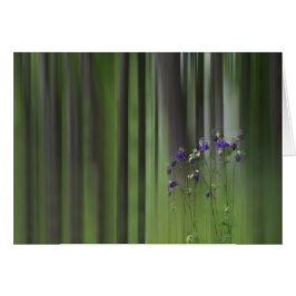 Columbine Vår Hälsningskort