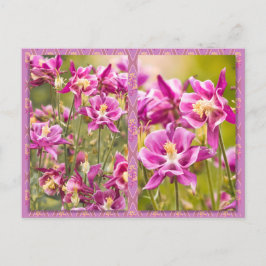 Columbines Diptych Vykort