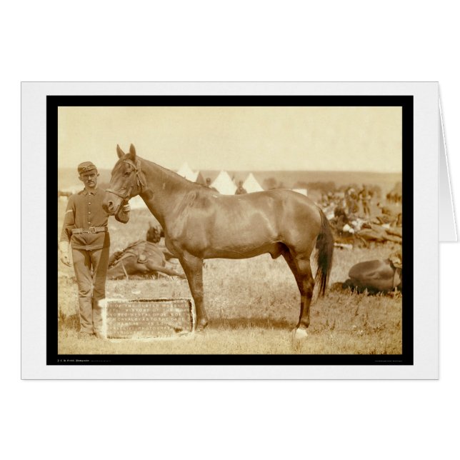 Comanche, Army Horse SD 1887 Hälsningskort (Framsidan Horizontal)