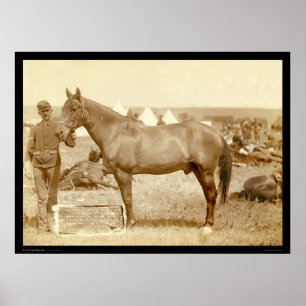 Comanche, Army Horse SD 1887 Poster