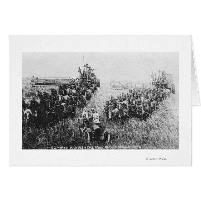Combine Harvester Scene Hälsningskort (Framsidan Horizontal)