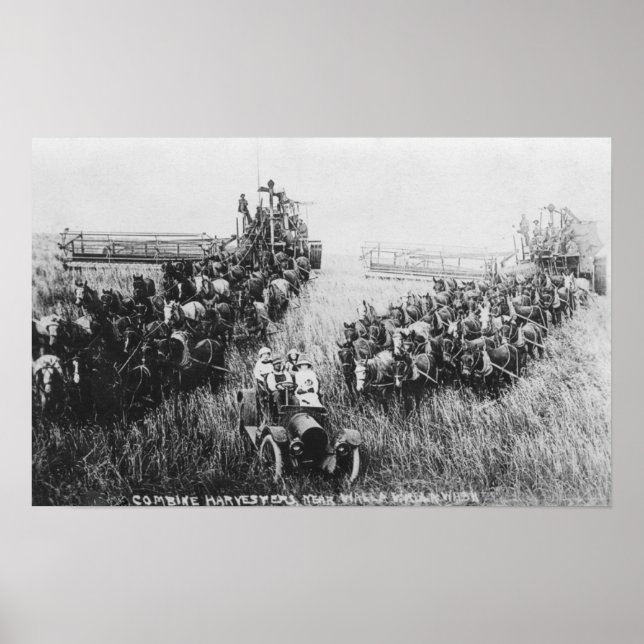 Combine Harvester Scene Poster (Framsidan)