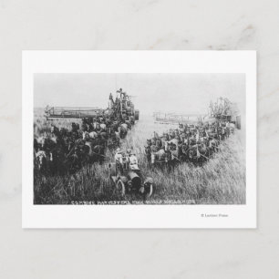 Combine Harvester Scene Vykort