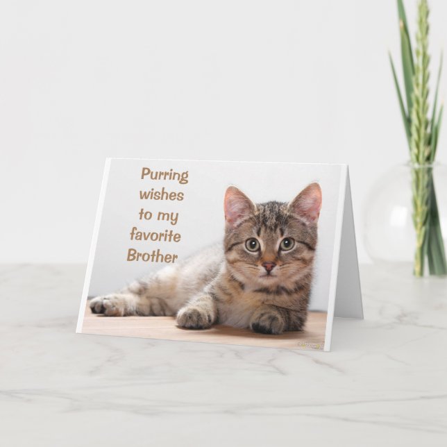 *COMEDIC CAT* FÖR MIN *BRODERS* BIRTHDAY-KORT KORT (Framsida)