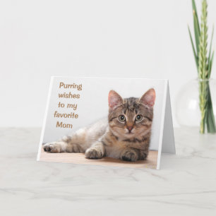 *COMEDIC CAT* FÖR MY *MAMMA* BIRTHDAY CARD KORT