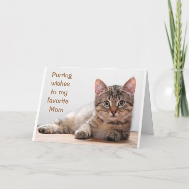 *COMEDIC CAT* FÖR MY *MAMMA* BIRTHDAY CARD KORT (Framsida)