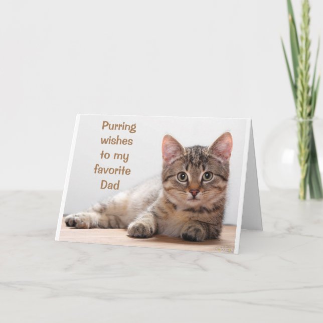 *COMEDIC CAT* FÖR MY *PAPPA* BIRTHDAY CARD KORT (Framsida)