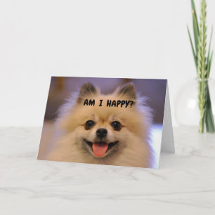 COMEDIC POMERANIAN LYCKLIG "60:E BIRTHDAY" KORT