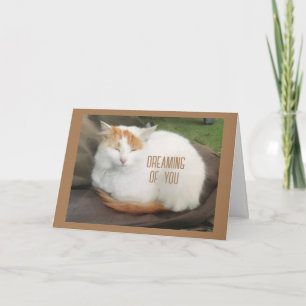 COMEDIC TURKISH VAN SAYS "GRATTIS PÅ FÖDELSEDAGEN" KORT